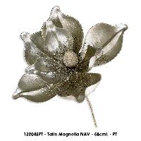Tallo Magnolia NAV - 58cmL - PT