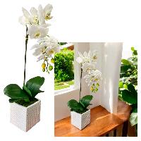 Orquidea c/maceta - 50cmH - WHITE