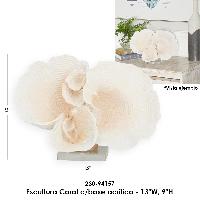 Escultura Coral c/base acrilico - 13"W, 9"H