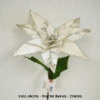 Vara 68cmL - Noche Buena - Crema