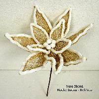 Noche Buena - 38cmL - NAT/WHITE