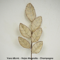 Vara 68cmL - Hojas Magnolia - Champagne