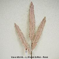 Vara 68cmL - c/3hojas brillos - Rosa