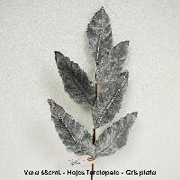 Vara 68cmL - Hojas Terciopelo - Gris plata